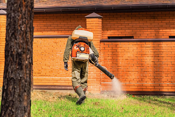 Bed Bug Clearance Verification and Documentation in Langston